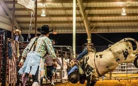 Easterseals Middle Georgia, Inc. Pro Rodeo 2024